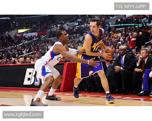 探索frre篮球明星的成长之路与辉煌成就背后的故事与启示