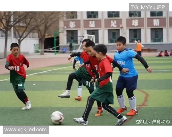提升儿童身体素质与团队合作能力的小学体育培训课程探索与实践