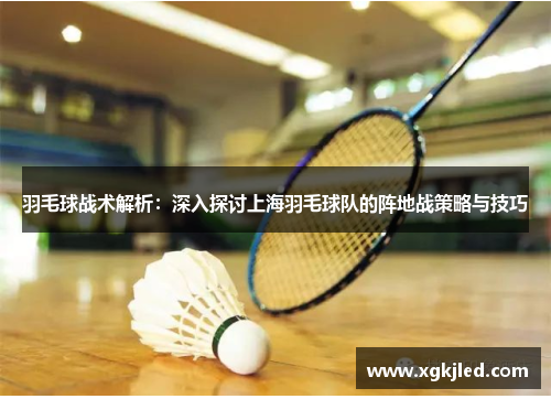 羽毛球战术解析：深入探讨上海羽毛球队的阵地战策略与技巧