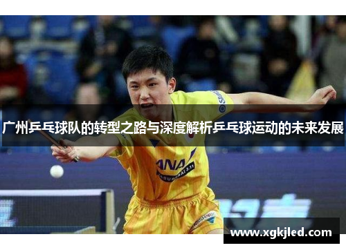 广州乒乓球队的转型之路与深度解析乒乓球运动的未来发展