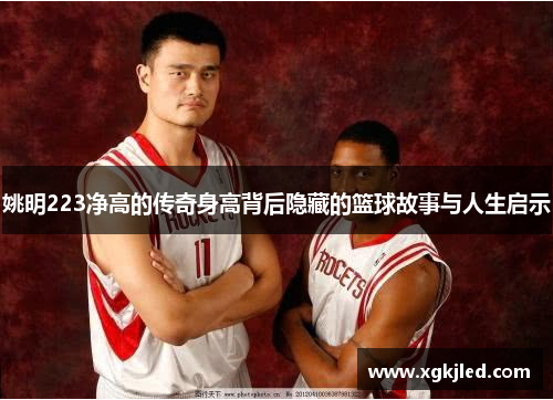 姚明223净高的传奇身高背后隐藏的篮球故事与人生启示