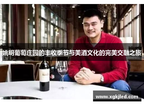 姚明葡萄庄园的丰收季节与美酒文化的完美交融之旅