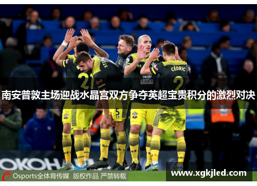 南安普敦主场迎战水晶宫双方争夺英超宝贵积分的激烈对决